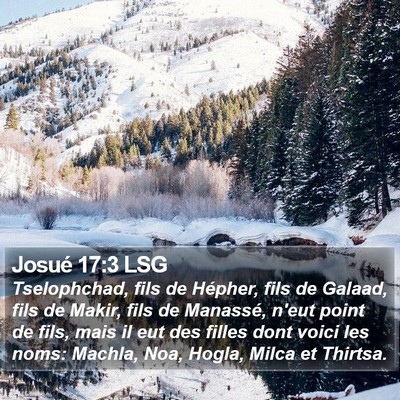 Josué 17:3 LSG Bible Verse Image