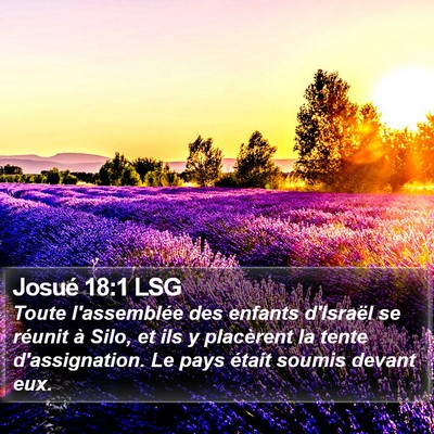 Josué 18:1 LSG Bible Verse Image