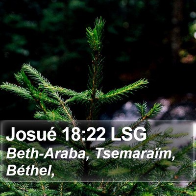 Josué 18:22 LSG Bible Verse Image