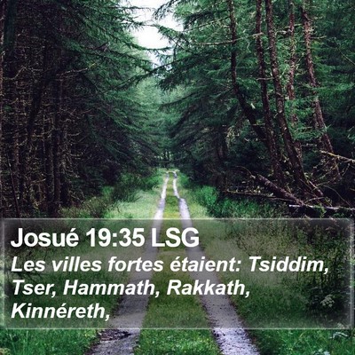 Josué 19:35 LSG Bible Verse Image