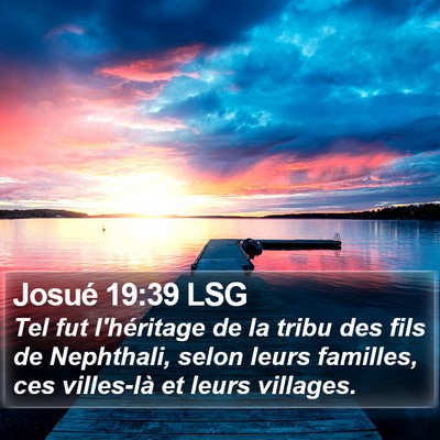 Josué 19:39 LSG Bible Verse Image
