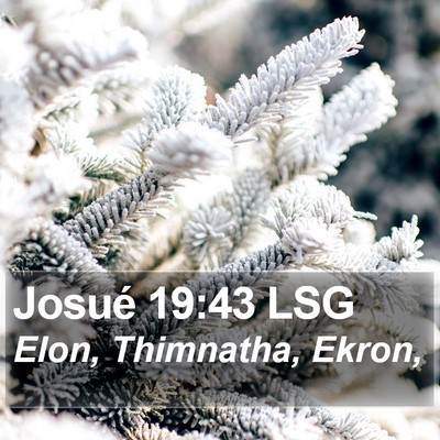 Josué 19:43 LSG Bible Verse Image