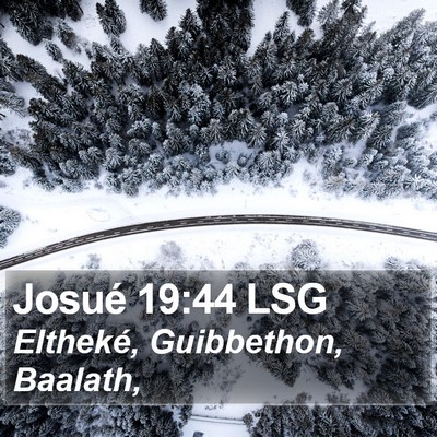Josué 19:44 LSG Bible Verse Image