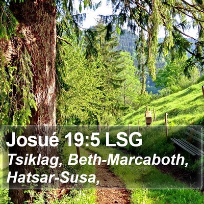 Josué 19:5 LSG Bible Verse Image