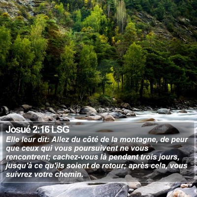 Josué 2:16 LSG Bible Verse Image