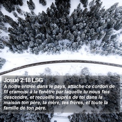 Josué 2:18 LSG Bible Verse Image