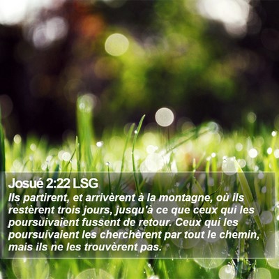 Josué 2:22 LSG Bible Verse Image