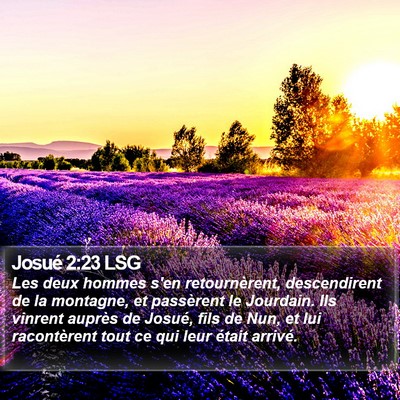 Josué 2:23 LSG Bible Verse Image