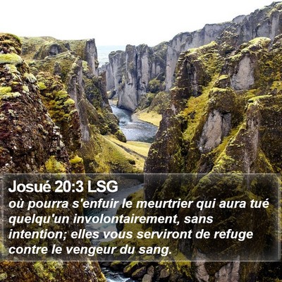Josué 20:3 LSG Bible Verse Image