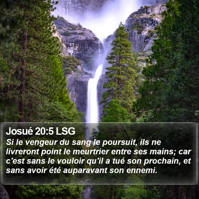 Josué 20:5 LSG Bible Verse Image