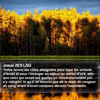 Josué 20:9 LSG Bible Verse Image