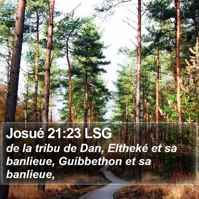 Josué 21:23 LSG Bible Verse Image