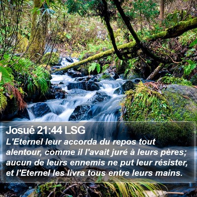 Josué 21:44 LSG Bible Verse Image