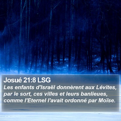 Josué 21:8 LSG Bible Verse Image