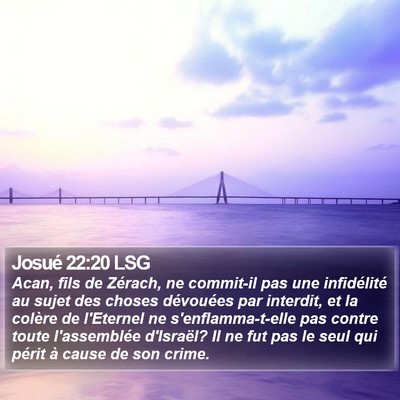 Josué 22:20 LSG Bible Verse Image