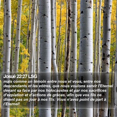 Josué 22:27 LSG Bible Verse Image