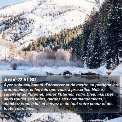 Josué 22:5 LSG Bible Verse Image