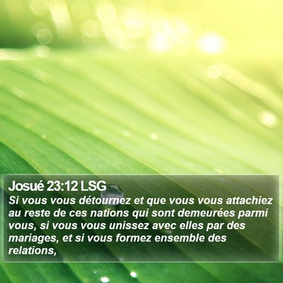 Josué 23:12 LSG Bible Verse Image