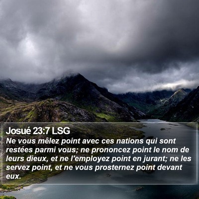 Josué 23:7 LSG Bible Verse Image