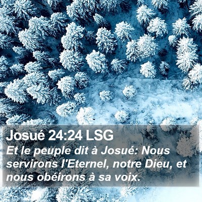 Josué 24:24 LSG Bible Verse Image
