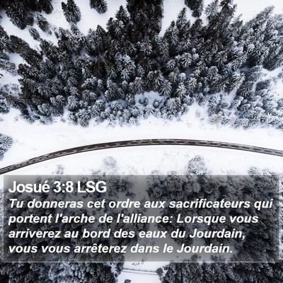 Josué 3:8 LSG Bible Verse Image