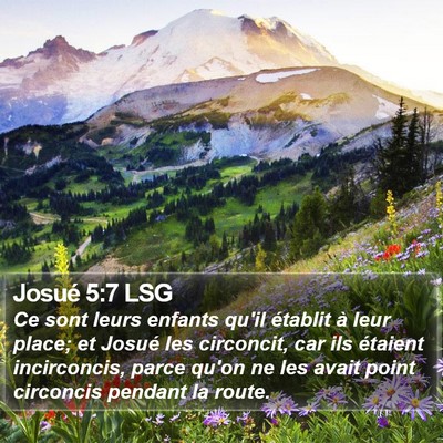 Josué 5:7 LSG Bible Verse Image