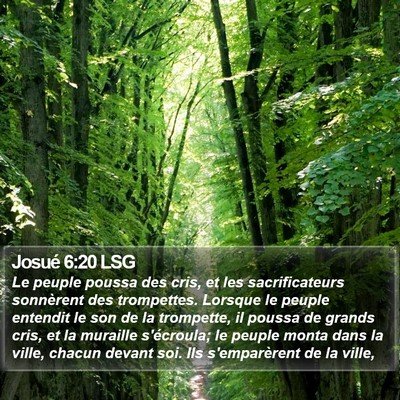 Josué 6:20 LSG Bible Verse Image