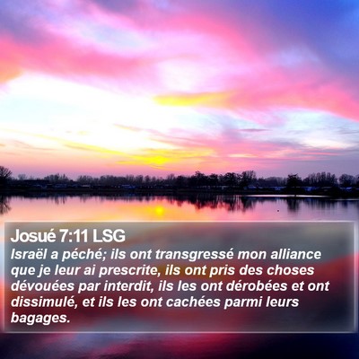 Josué 7:11 LSG Bible Verse Image