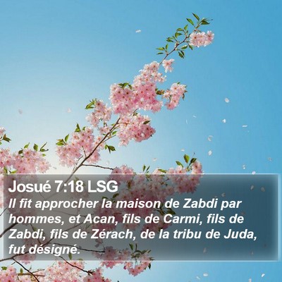 Josué 7:18 LSG Bible Verse Image