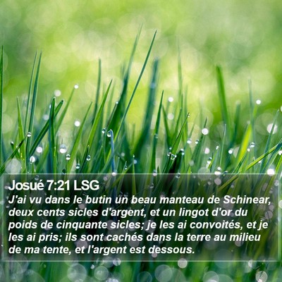 Josué 7:21 LSG Bible Verse Image