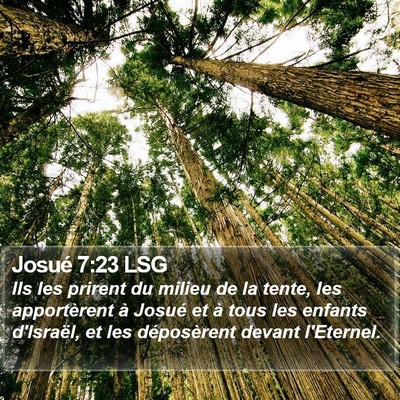 Josué 7:23 LSG Bible Verse Image