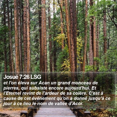 Josué 7:26 LSG Bible Verse Image