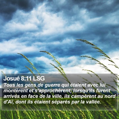 Josué 8:11 LSG Bible Verse Image