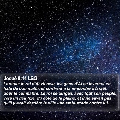 Josué 8:14 LSG Bible Verse Image