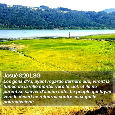Josué 8:20 LSG Bible Verse Image