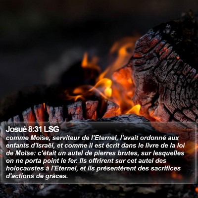 Josué 8:31 LSG Bible Verse Image