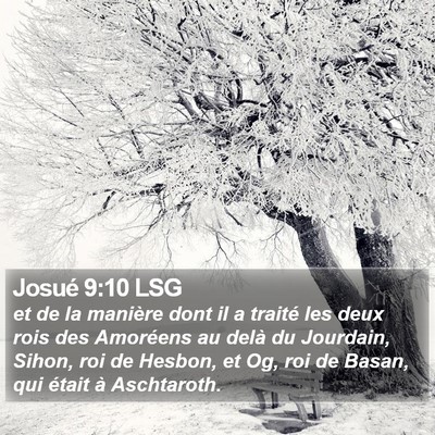 Josué 9:10 LSG Bible Verse Image