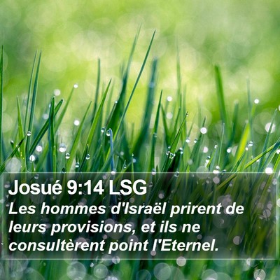 Josué 9:14 LSG Bible Verse Image
