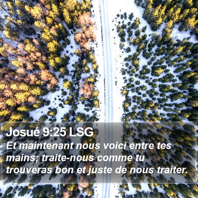 Josué 9:25 LSG Bible Verse Image