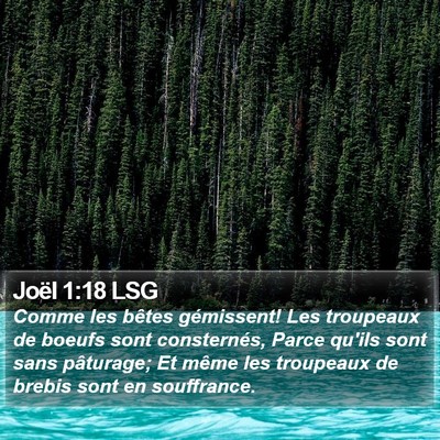 Joël 1:18 LSG Bible Verse Image