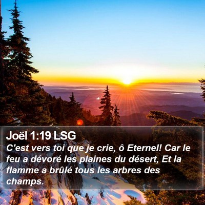 Joël 1:19 LSG Bible Verse Image