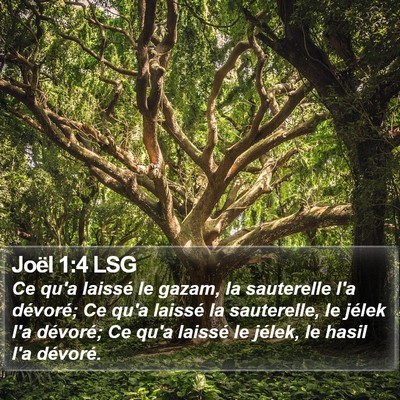 Joël 1:4 LSG Bible Verse Image