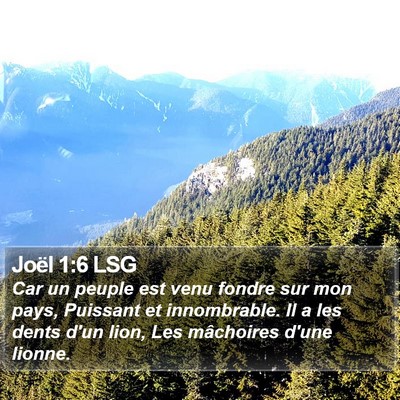 Joël 1:6 LSG Bible Verse Image