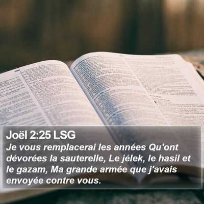 Joël 2:25 LSG Bible Verse Image