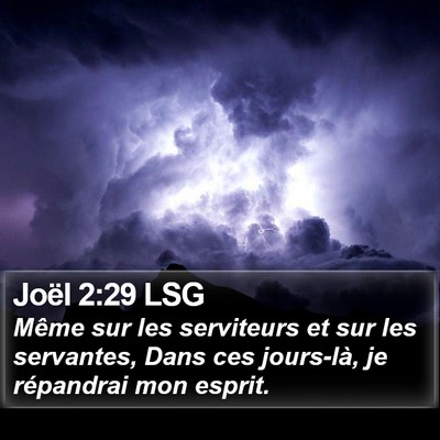 Joël 2:29 LSG Bible Verse Image
