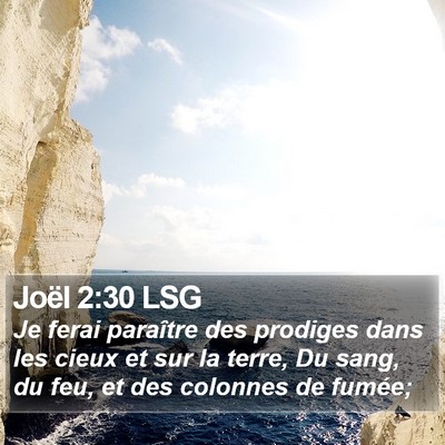 Joël 2:30 LSG Bible Verse Image