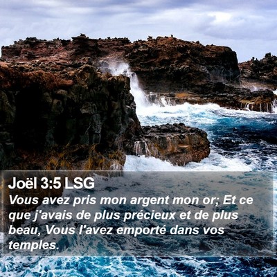 Joël 3:5 LSG Bible Verse Image
