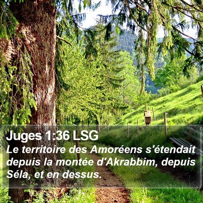 Juges 1:36 LSG Bible Verse Image
