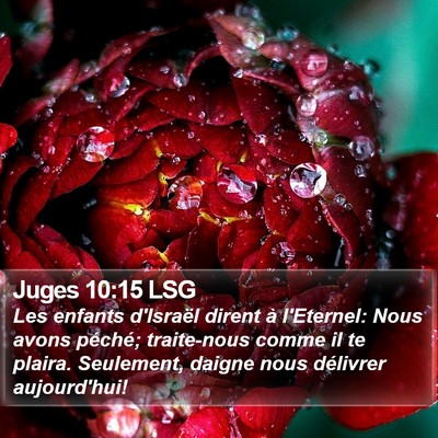 Juges 10:15 LSG Bible Verse Image