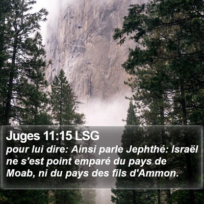 Juges 11:15 LSG Bible Verse Image